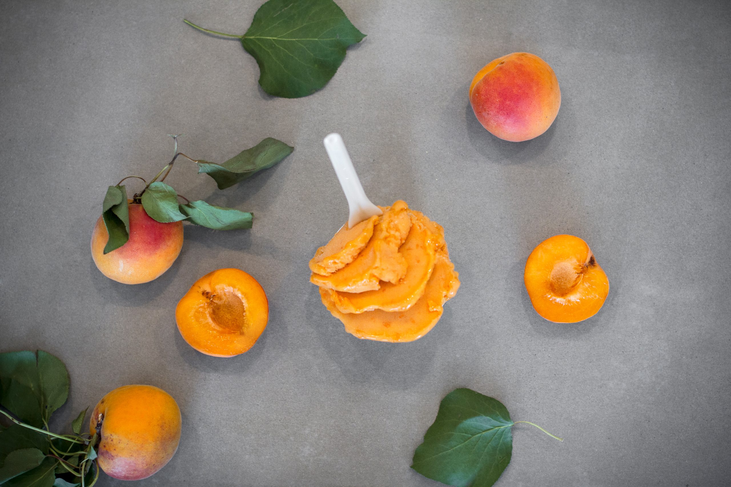 gastro.news - Eisbox von Leones Gelato