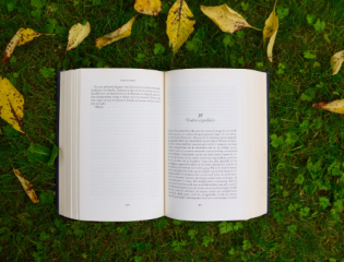 geniesserinnen - 1x das Buch ( Wein-Guide) " Simply Wine " von Bestsellerautor Carsten Henn