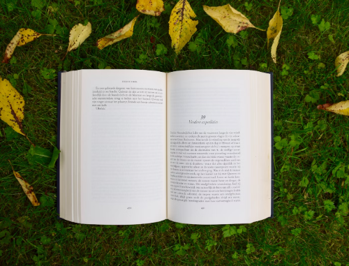 geniesserinnen - 1x das Buch ( Wein-Guide)  