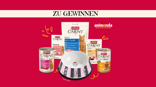 Good4Pets - eine von 10 animonda Carny Futterboxen im Wert von 25 € – plus einen exklusiven Ritzenhoff Porzellannapf