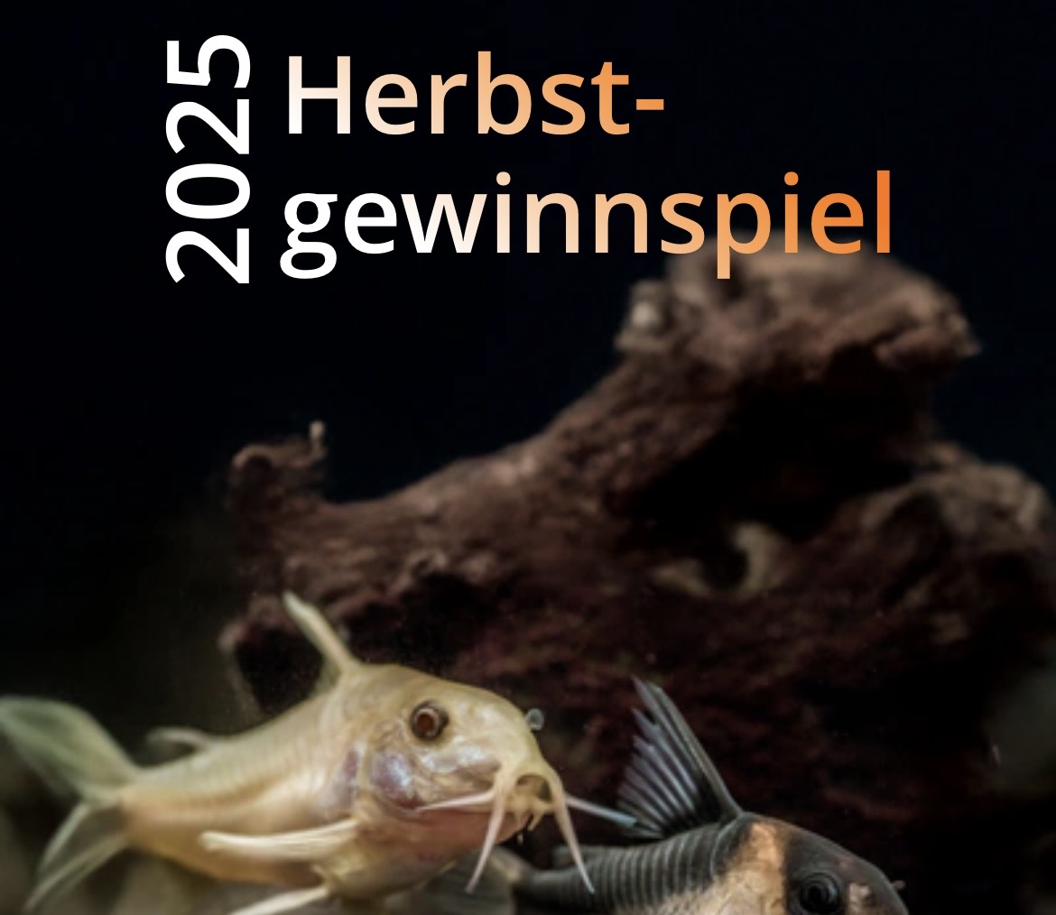 JBL Aquaristik - eine PROFLORA CO2 Anlage inkl. pH-Sensor für perfekten Pflanzenwuchs (Aquarium)