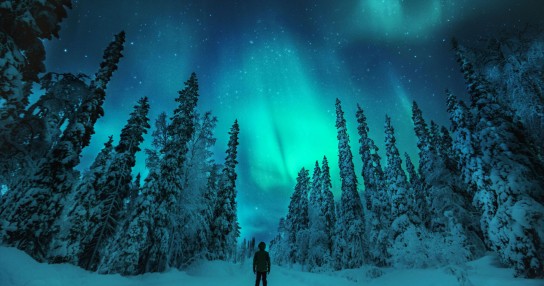 journaway -  Abenteuerreise ”Scandic Nights: Zum Nordlichtzauber im Glasiglu