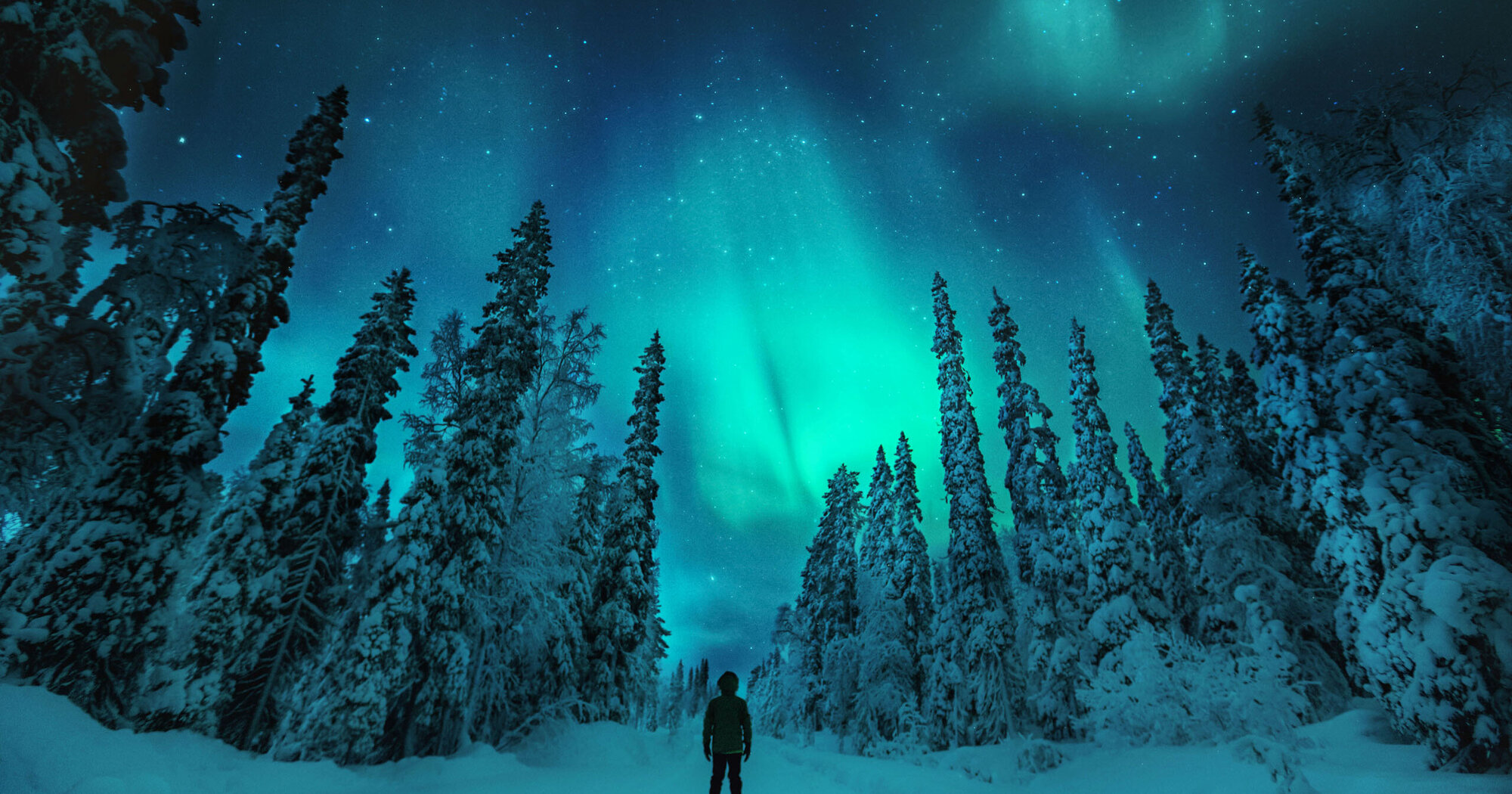 journaway -  Abenteuerreise ”Scandic Nights: Zum Nordlichtzauber im Glasiglu" im Gesamtwert von maximal 3.200 EUR. (inkl. Flug)