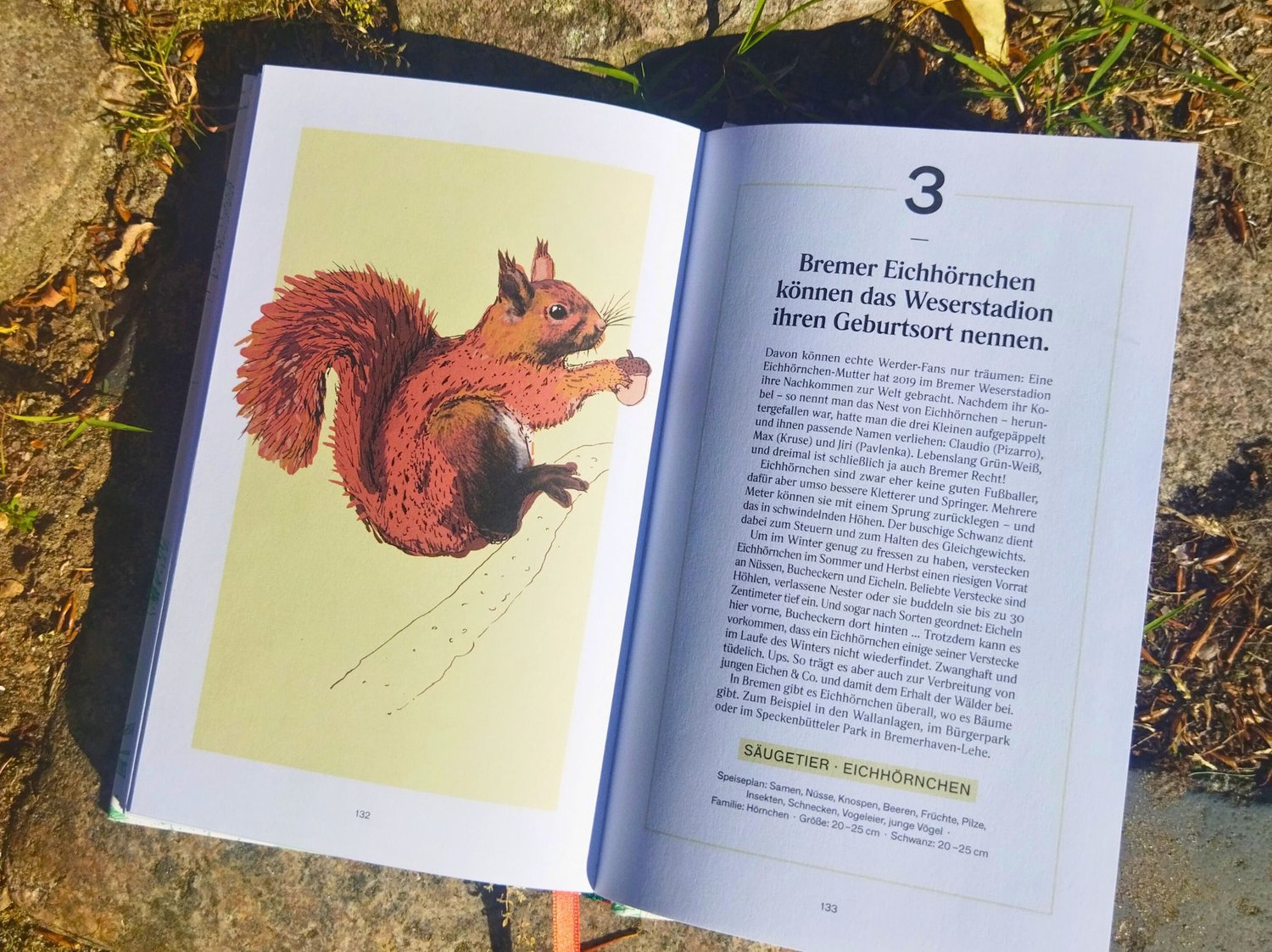 Kinderzeit Bremen - 5 Exemplare „Bremer Tiere“ - Ein kleiner Guide für Naturbanausen und Stadtkinder