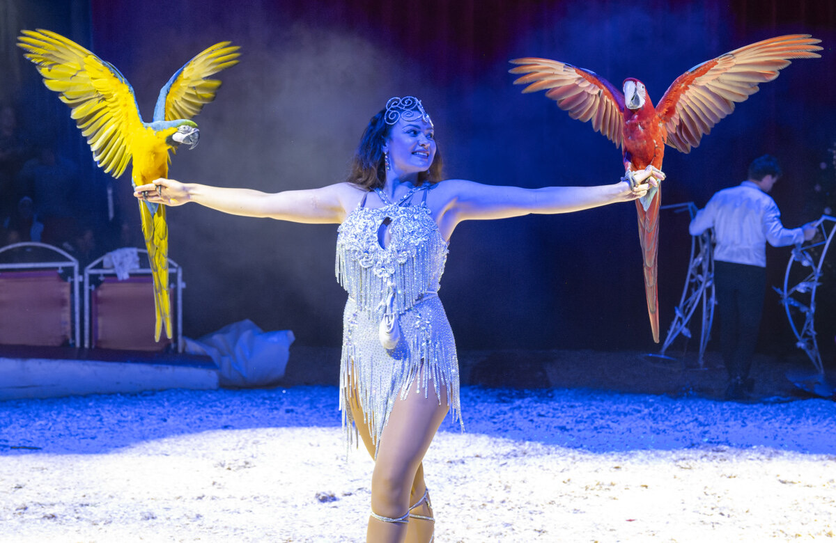 Lippische Wochenzeitung Medienhaus - 10×2 Freikarten für die Premiere des Zirkus Freiwald am Freitag, 12. September, um 16 Uhr, in Lemgo
