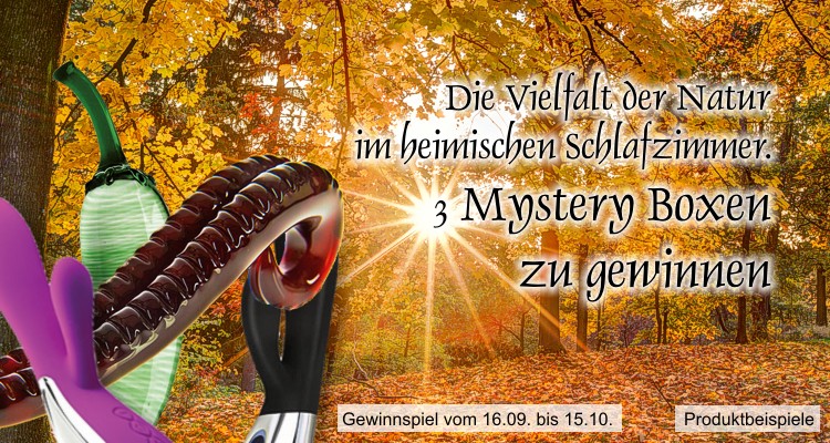 my-Lovetoy - drei Mysterie-Pakete im Wert von je 200 €