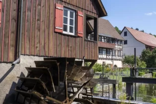 Rheinpfalz - Faltrucksack