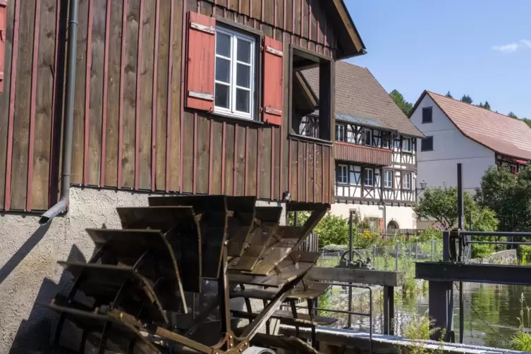 Rheinpfalz - Faltrucksack