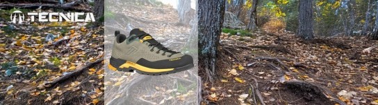TouriSpo - 1 Paar Tecnica Sulfur GTX Zustiegsschuhe, Farbe und Größe je nach Verfügbarkeit frei wählbar