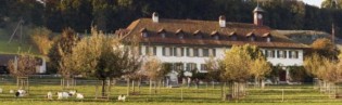 yumpu - einen Kurzurlaub über 3 Übernachtungen inkl.Halbpension für 2 Personen im Doppelzimmer im Hotel St. Petersinsel (Schweiz)