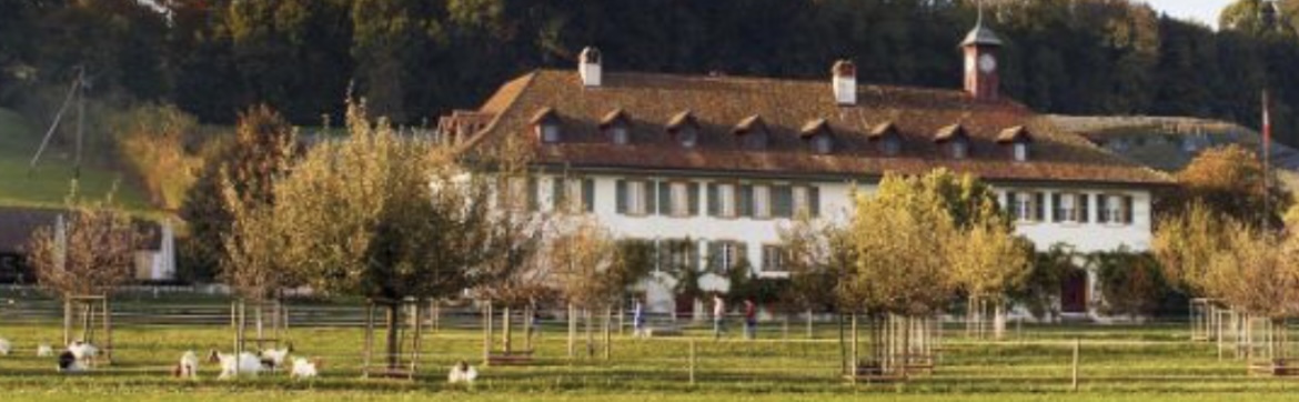 yumpu - einen Kurzurlaub über 3 Übernachtungen inkl.Halbpension für 2 Personen im Doppelzimmer im Hotel St. Petersinsel (Schweiz)