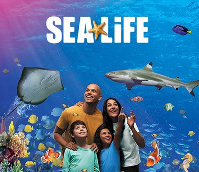 Knabbi - 1. Preis: SEALIFE ® Premium Jahreskarte für 4 Personen, Standort nach Wahl2.-6. Preis: je 2 Freikarten für einen SEALIFE Standort in Deutschland7.-10. Preis: je 1 Jahreskarte für den PEPPA PIG Park in Günzburg