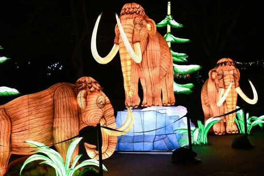 Kölner Stadt-Anzeiger - 5x2 Karten für das China Lights Festival im Kölner Zoo