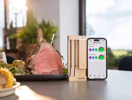 plus Magazin - 3 x 1 Fleisch- und Fisch-Thermometer von MEATER