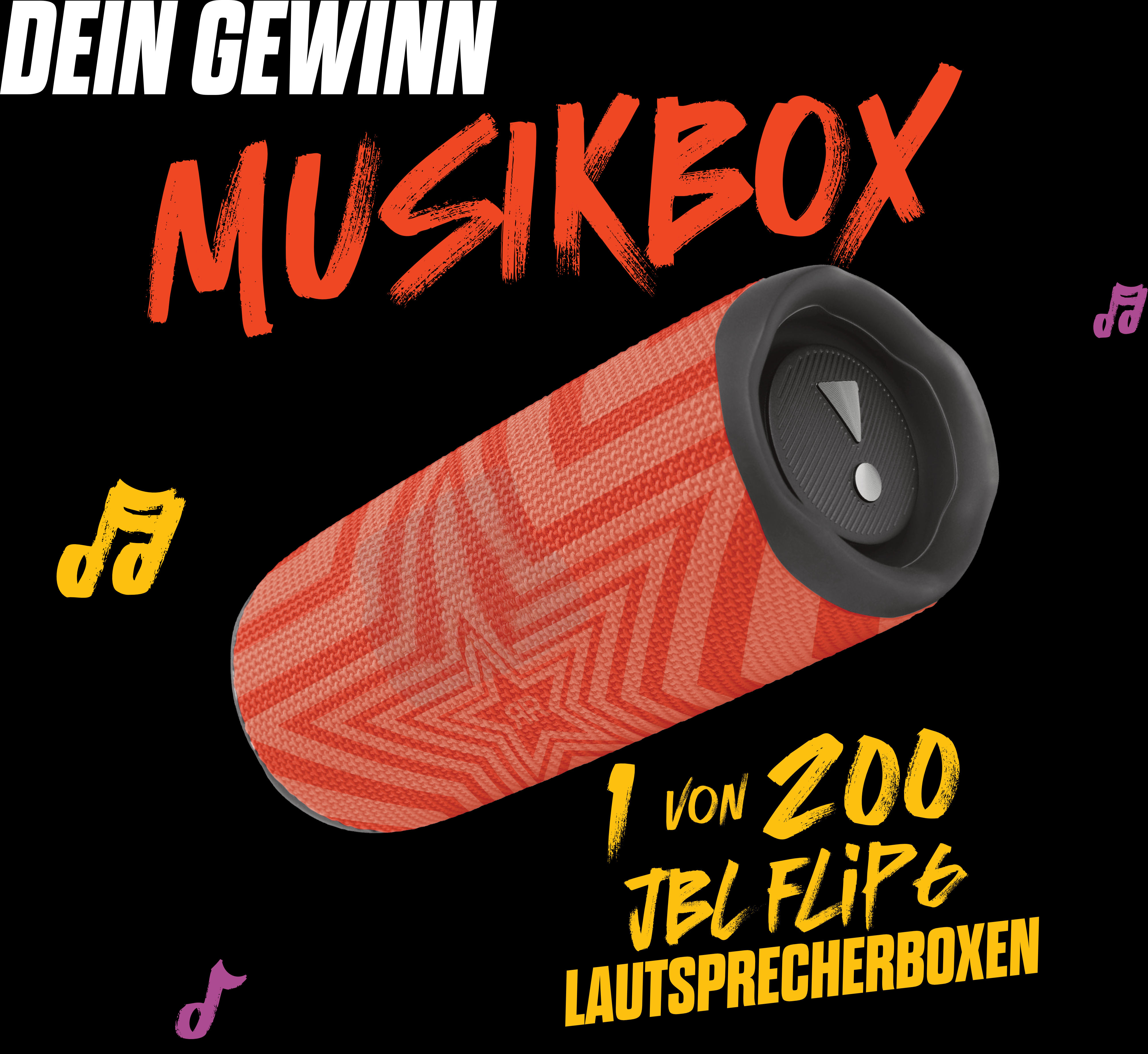 Rockstar Energy - 200x JBL Flip 6 Lautsprecherbox