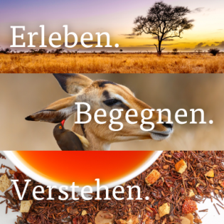 Gebeco - 8 x 250 g Bio-Rooibos-Tee