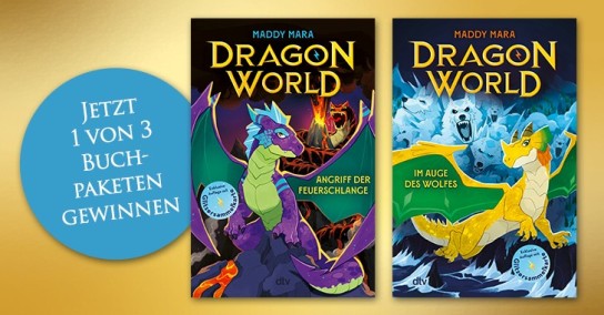 Häfft - drei Pakete bestehend aus Band 1 (Dragon World – Angriff der Feuerschlange) und Band 2 (Dragon World – Im Auge des Wolfes)