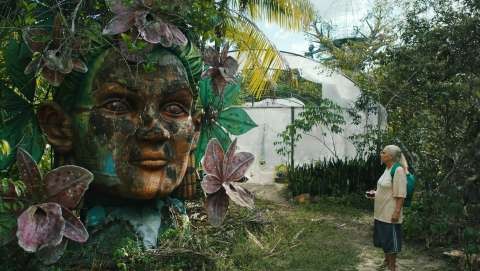 Kino-Zeit - 2 DVD's des Films 