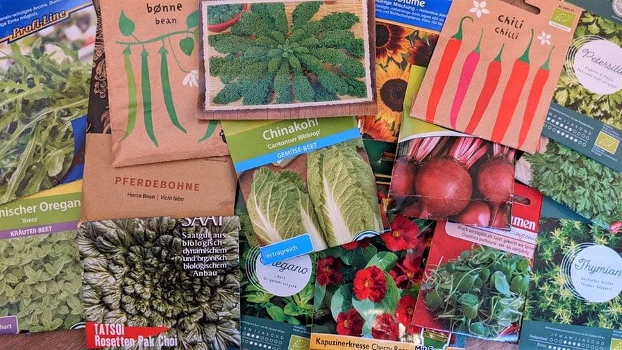 mdr - 1 Überraschungspaket und das Buch "Gräser"