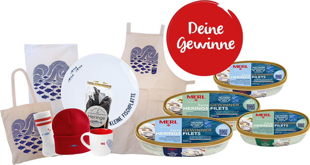 Merl - 25x Überraschungspaket bestehend aus zarten Heringsfilets in Sahnesauce, die zarten Heringsfilets in Dill-Sahnesauce, ausgewählte MSC-zertifizierte Produkte und exklusive MERL-Goodies