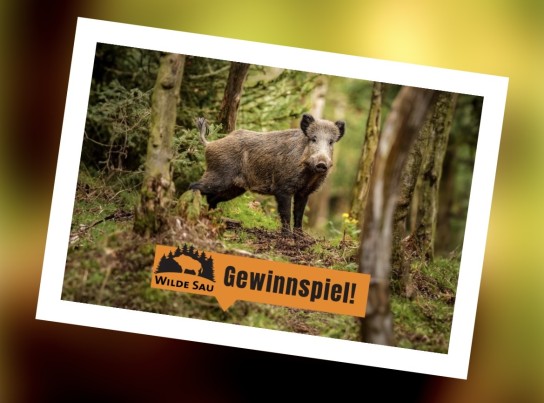 Naturpark Schwarzwald - „Wilde Sau“leckere Schwarzwald-Spezialitäten