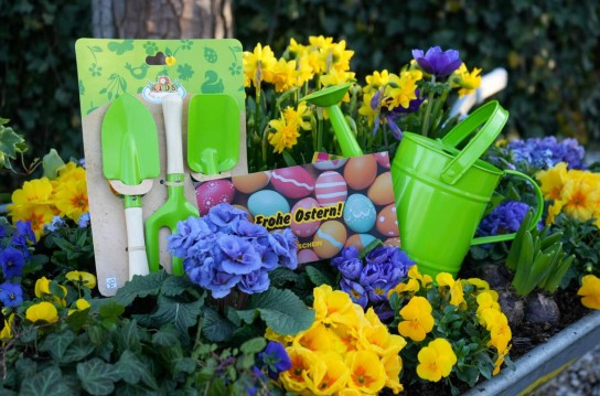 Berlin mit Kind - 2 x Gewinnpaket mit Gießkanne und Kinder-Gartengeräten sowie einem 50 €-Gutschein vom Der Holländer Pflanzencenter