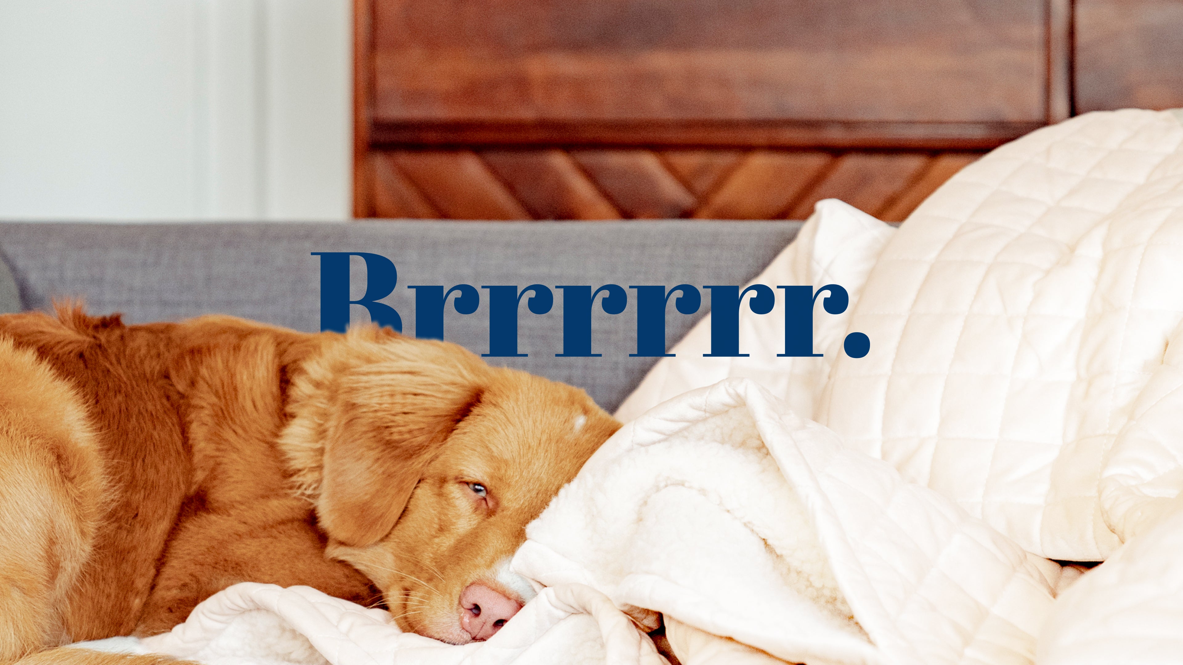 Bismarck&Co - jeden Tag eine Steppdecke aus der Luxury-Kollektion ( für Haustiere )