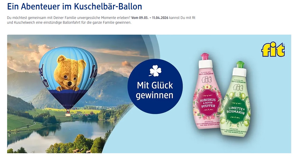 dm-drogerie markt - 1x1 Einstündige Ballonfahrt für 4 Personen in Tannheim