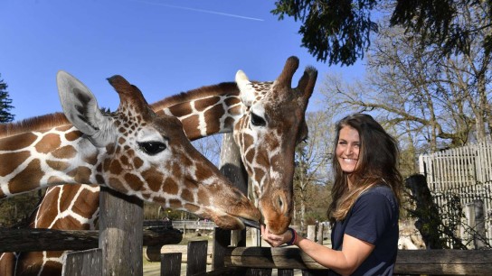 Hallo München - Je 3 Gewinner über 6 Jahren dürfen am 25.03.2026 mit einem Pfleger oder einer Pflegerin im Tierpark Hellabrunn in München hinter die Kulissen von den Elchen oder Giraffen schauen