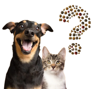 Josera - 20 Säcke Futter und insgesamt 5 Haustierkameras von Furbo, Enabot und Siipet