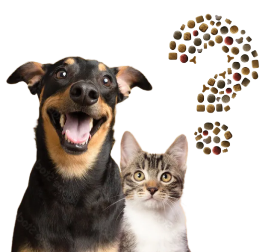 Josera - 20 Säcke Futter und insgesamt 5 Haustierkameras von Furbo, Enabot und Siipet