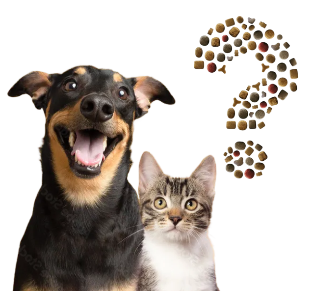 Josera - 20 Säcke Futter und insgesamt 5 Haustierkameras von Furbo, Enabot und Siipet