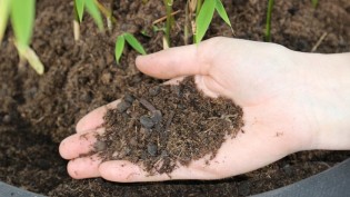 mdr - 1x das handsignierte Buch "Gemüse-Power" von Lucia Schauerhammer von @dorfgarten_