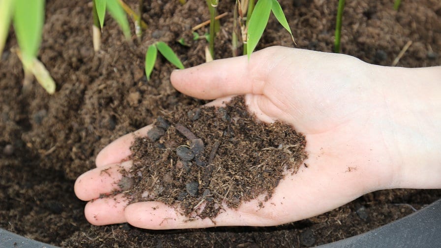 mdr - 1x das handsignierte Buch "Gemüse-Power" von Lucia Schauerhammer von @dorfgarten_