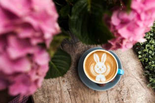 Moin Bohne - 3 verschieden Große Osterpakete mit Kaffeeköstlichkeiten