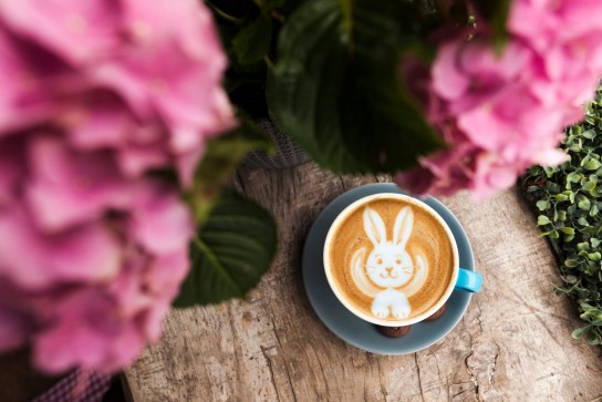 Moin Bohne - 3 verschieden Große Osterpakete mit Kaffeeköstlichkeiten
