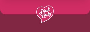Pink Lady - Gemeinsam mit deiner Familie einen Schokoladen-Workshop bei einem Chocolatier