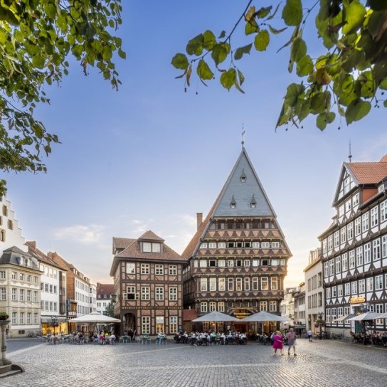 Reiseland Niedersachsen - 2 Übernachtungen in Hildes (max. 2 Erw. u. 2 Kinder) im Familienzimmer Frühstück für alle Familienmitglieder Eintritt ins Wasserparadies Hildesheim (2 Std.) Eintritt ins RPM (Roemer- u. Pelizaeus-Museum)