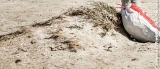 Nordsee Tourismus - Hauptgewinn: einen Aufenthalt an der Nordsee Schleswig-Holstein für 2 Personen über 5 Nächte, 2. Preis: Ein Präsentkorb,3. Preis: 3 × je ein Bildband "Wadden Sea"