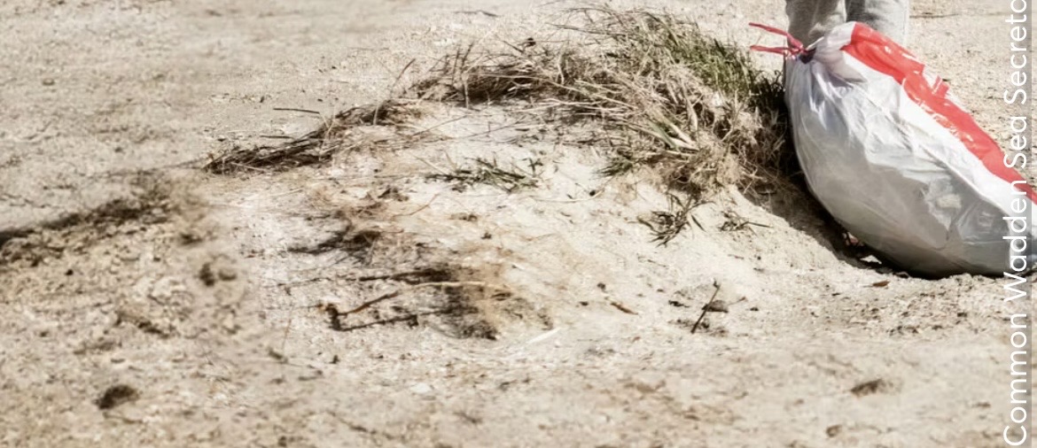 Nordsee Tourismus - Hauptgewinn: einen Aufenthalt an der Nordsee Schleswig-Holstein für 2 Personen über 5 Nächte, 2. Preis: Ein Präsentkorb,3. Preis: 3 × je ein Bildband "Wadden Sea"