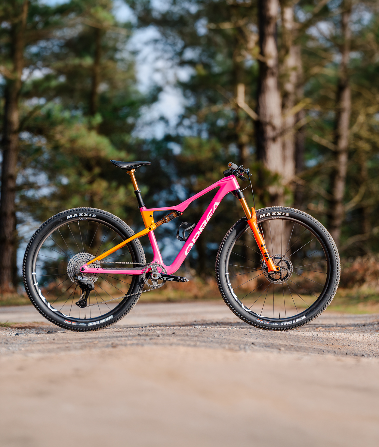 Orbea - Oiz M-LTD oder Oiz M-Team Factory (Rennrad)