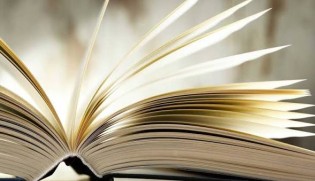 scm-shop - Bestseller- einen der aktuellen Toptitel (Buch)