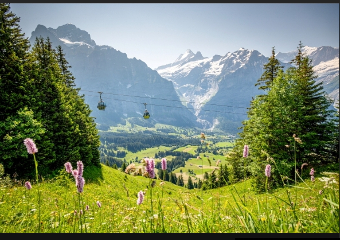 Secret Escapes - 3 Nächte für 2 Personen inklusive Frühstück im „SALZANO Hotel - Spa – Restaurant“ in Interlaken sowie 2 Swiss Travel Pässe 1. Klasse