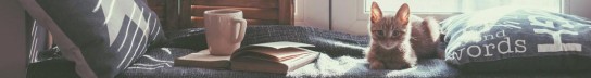 Bastei Lübbe - 10 x 1 Buchpaket mit je 5 Büchern deiner Wahl