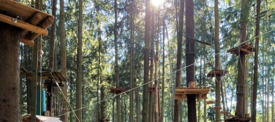 blick-punkt - 1×2 Freikarten, 1×2 Karten für den Flying Fox inklusive freiem Eintritt sowie 1×2 Karten für den Waldseilgarten inklusive freiem Eintritt für den Wildpark Oberreith