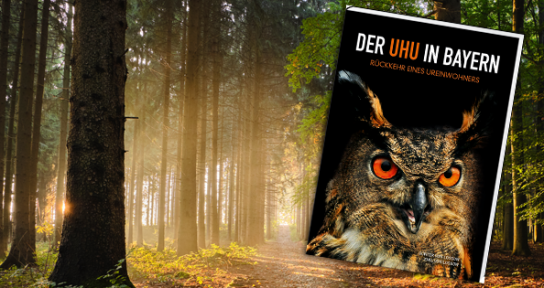 blick-punkt - Ein Exemplar des Buches 