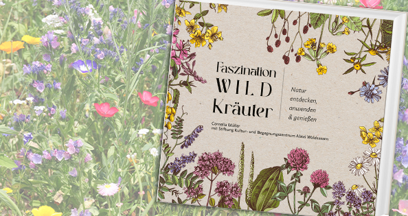 blick-punkt - Ein Exemplar des Buches "Faszination Wildkräuter"