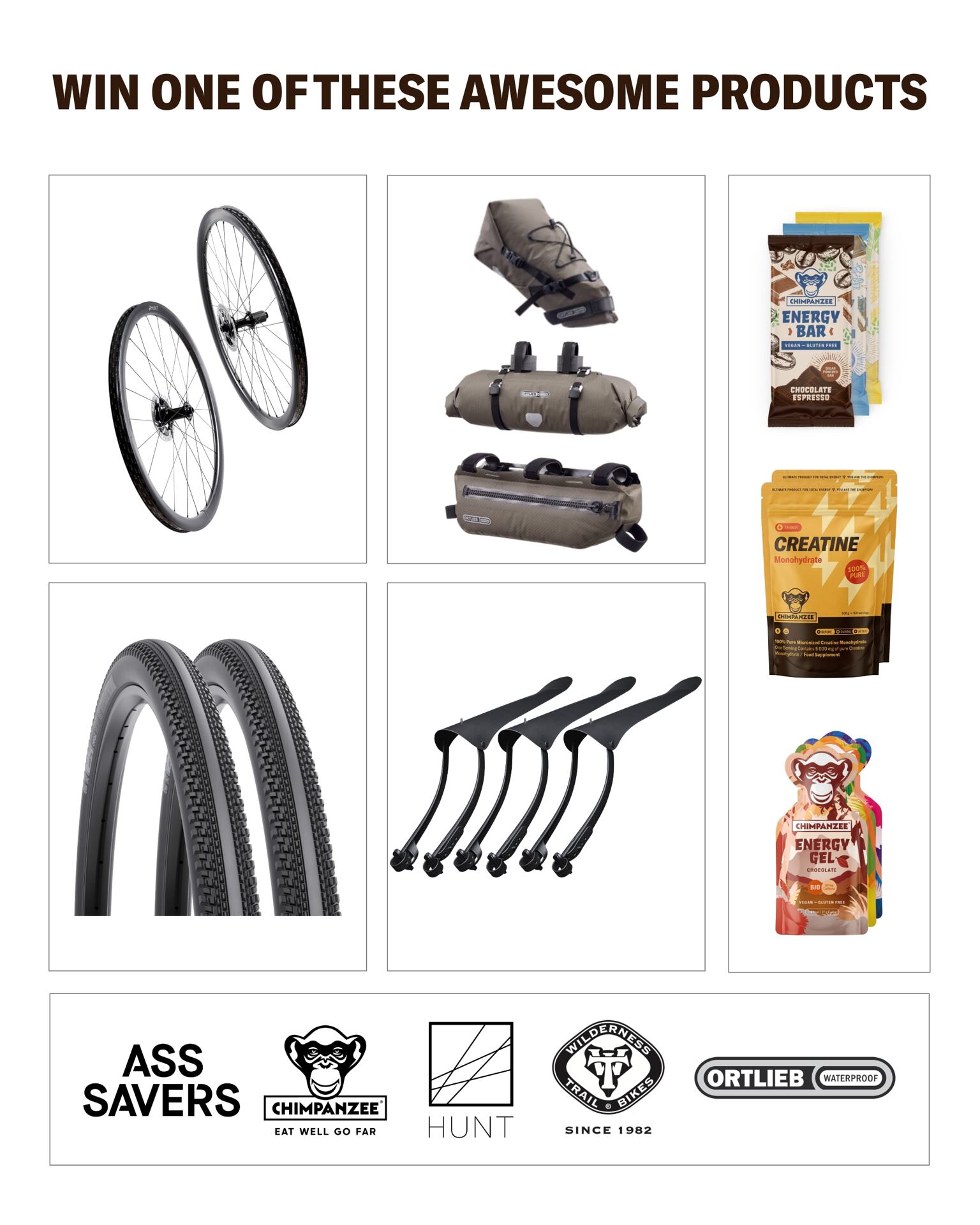 Chimpanzee - 1 x HUNT Carbon-Radsatz, 1x Set ORTLIEB Bikepacking Bags, 3x Satz WTB-Reifen, 1x 3-Monats-Versorgung von Chimpanzee Sports Nutrition, 10x Ass Savers WinWing Mudguard