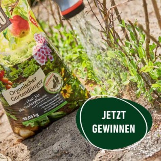 Compo - 1 von 5 COMPO BIO Organischer Gartendünger