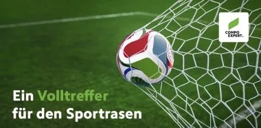 Compo - 100 x 1 adidas WM-Fußball